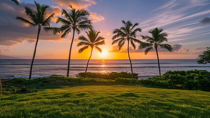 Sunset over the ocean with palm trees in silhouette