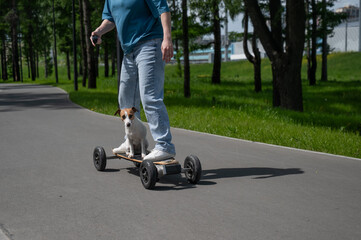 Obraz premium Caucasian woman rides an electric longboard with her Jack Russell Terrier dog.