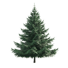 Fototapeta premium Christmas tree isolated on transparent background