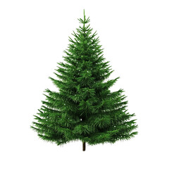 Fototapeta premium Christmas tree isolated on transparent background