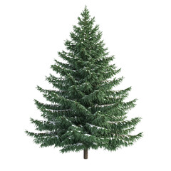 Fototapeta premium Christmas tree isolated on transparent background