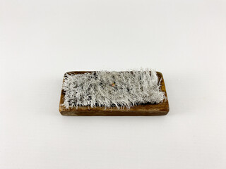 a small rectangular brush with a wooden base and a tuft of worn white bristles. Cleaning brush for clothes and shoes made of wood with broken bristles in isolated background