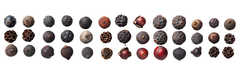 A Collection of Black Peppercorns with Transparent Background, Showing a Variety of Sizes and Shapes