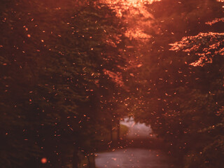 sparks from the water