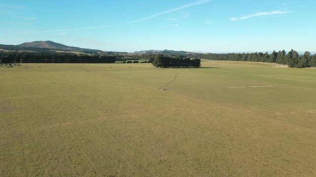 Empty Paddock In Canterbury New Zealand Drone Tracking Forward