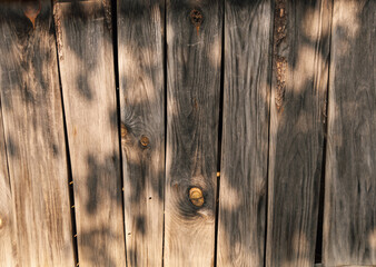Old wood paneled wall, tree shadow