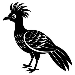 Fototapeta premium Hoatzin silhouette vector art illustration