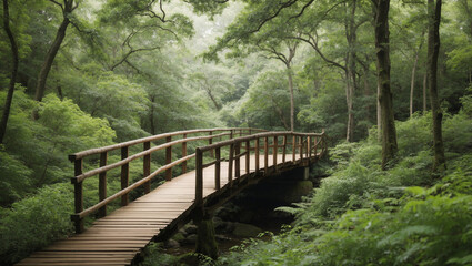 A wooden bridge with railings, leading through a misty, green forest.