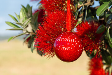 A shiny red Christmas bauble hanging in a Summer flowering New Zealand Pohutukawa tree. 