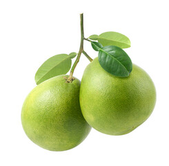 Pomelo fruits isolated on white background. Clipping path