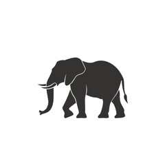 Fototapeta premium Silhouette of an Elephant Walking