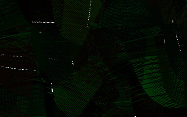 Dark Green vector texture with curved lines.
