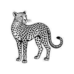 Cheetah Silhouette Vector