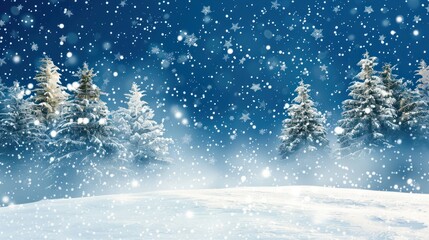 Snowy Forest Landscape