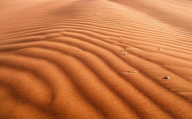 Fototapeta premium Orange-brown sand dunes with ripples and small rocks, desert-themed background.