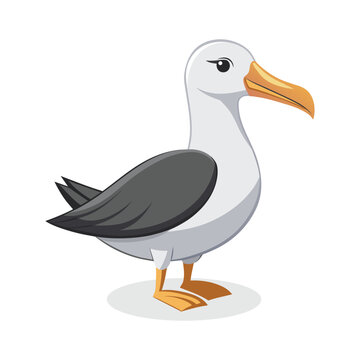 recommend clip art: Albatrosses animal flat vector illustration on white background.