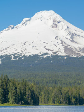 A mountain with snow on it and trees in the foreground