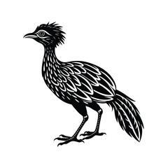 Eudocimus Bird Silhouette Vector