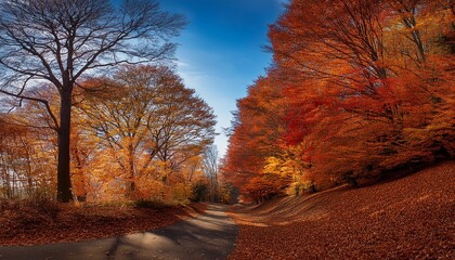 Obraz premium 哀愁溢れる秋をイメージするイラスト