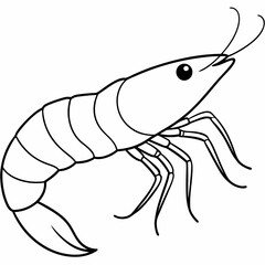 A simple line art drawing of a small prawn art vector illustration