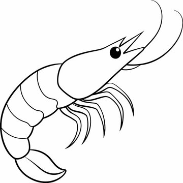 recommend clip art: A simple line art drawing of a small prawn art vector illustration