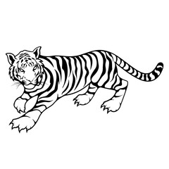 Tiger | Zoo Animal | Big Cat | Wildlife | Wild Cat | Jungle Animal | Forest Animal | Wild Animal | Original Illustration | Vector and Clipart | Cutfile and Stencil