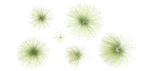 Green Fiberoptic Grass Border isolated on white background.top view