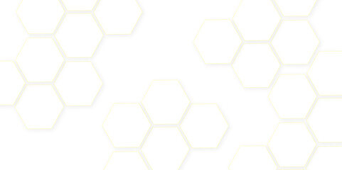 Abstract white hexagon concept background. Seamless pattern with hexagon. Hexagonal white hexagons honeycomb wallpaper. Abstract white lines background.