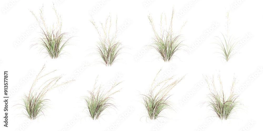 Fototapete set of Broomsedge bluestem with alpha mask, 3d rendering, for digital composition and architecture visualization