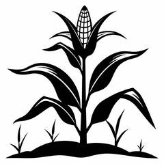 A perfect black and white   corn plant growing art vector illustration