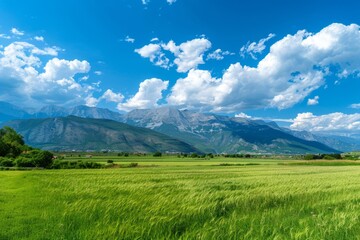 Obraz premium Panoramic natural landscape with green grass field, blue sky, clouds, and mountains in the background, capturing the serene beauty of nature.