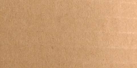 Brown craft paper cardboard texture. Seamless Kraft Paper Texture. Rough, grainy, beige material. Minimalistic background for design. Vector illustration