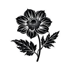 Japanese Anemone Flower Silhouette Vector