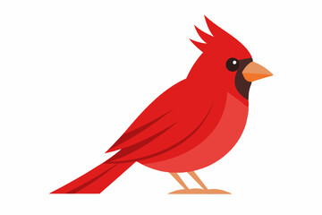 Cardinal bird  art vector