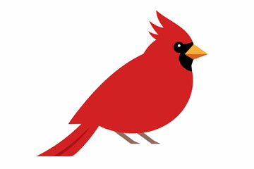 Cardinal bird  art vector