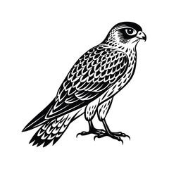 Kestrel Bird Silhouette Vector