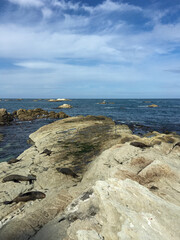 rocky coast of the sea