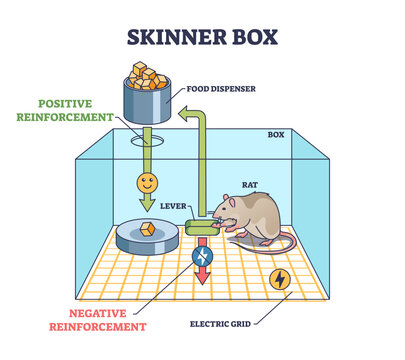 Skinner box and operant conditioning chamber experiment outline diagram, transparent background. Behavioral stimulus test explanation with positive and negative reinforcement after pushing lever.