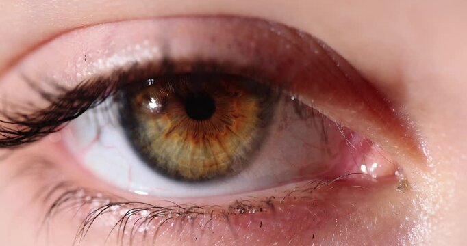 Closeup of brown female eyes blinking