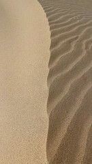 Sand dune. Sand waves. Sandy background on the Baltic beach.