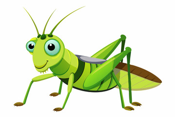 Grasshopper Cartoon cartoon, Vector illustration on a white Background.