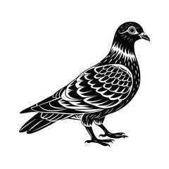 Fototapeta premium Pigeon Silhouette Vector