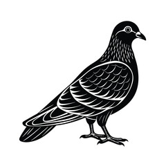Pigeon Silhouette Vector