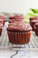 Fresh beetroot chocolate cupcake on a wire rack