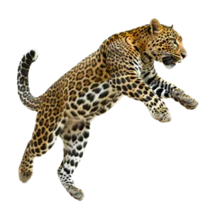  "Intense Image of a Leopard in Attack Mode, Isolated on Transparent Background" © Nuria