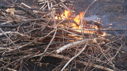 the forest is burning. burning. extinguishing forest fires due to climate change and global warming are drivers of the global forest fire trend. clearing forest land for crops.