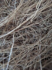 texture of hay
