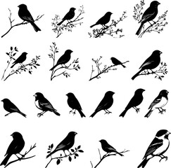 Obraz premium finch bird silhouette set illustration collection