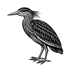 Striated Heron Silhouette Vector Design