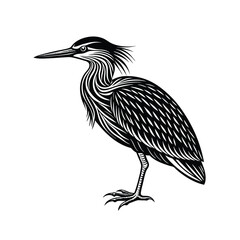 Striated Heron Silhouette Vector Design
